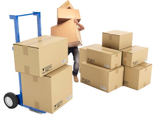 alliance packers and movers Bangalore
